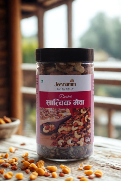 Satvik Meva - Dry Fruits & Seeds Mix