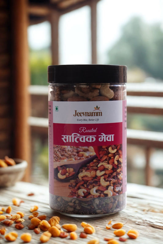 Satvik Meva - Dry Fruits & Seeds Mix